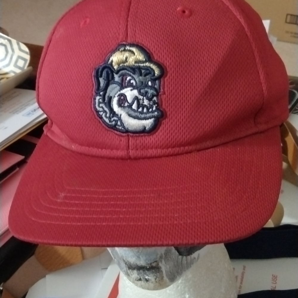 "Big Dog"  sz small Hat$28+free Hat